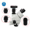 C-Mount Lens TV1-2 1-3 CTV Adapter for Trinocular Stereo Microscope