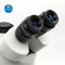 WF30X-8 Stereo Microscope High Eye-point Eyepiece Plan Diopter Adjustable